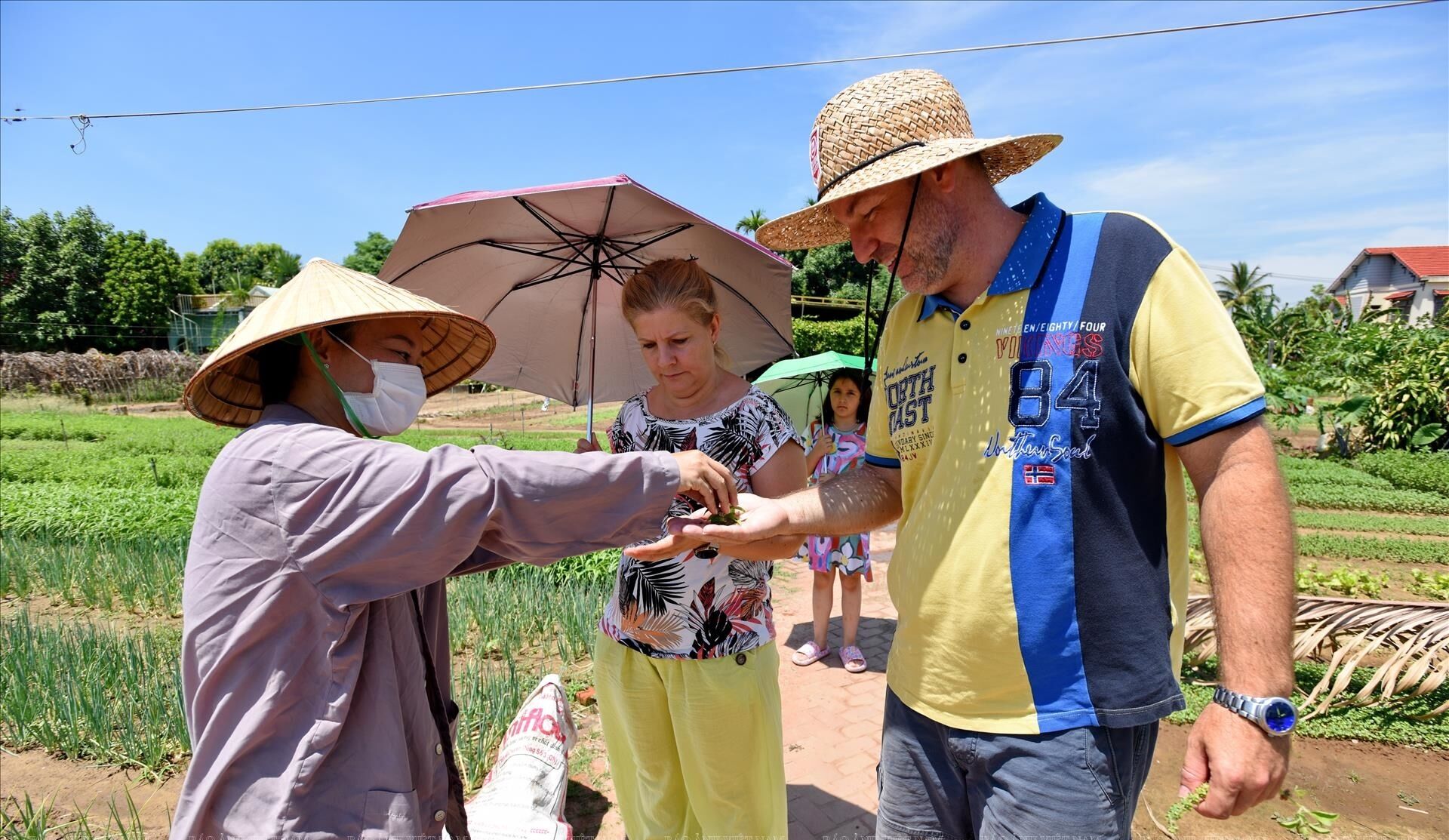 Immerse in Tra Que’s lush agricultural heritage
